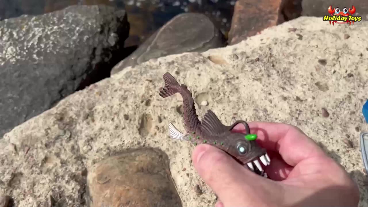 Blue Shark with Spring for Food Claw Toy