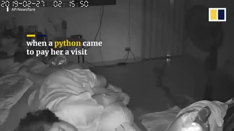 Snake Bites