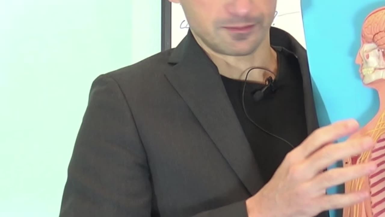 Dolore a Collo, Spalla e Braccio le Cause Seconda Parte