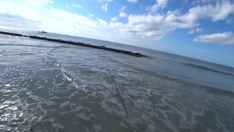 a pesca anche un bel drum fish oltre agli sheepshead pescati tutti con gli shrimp.f270_part3