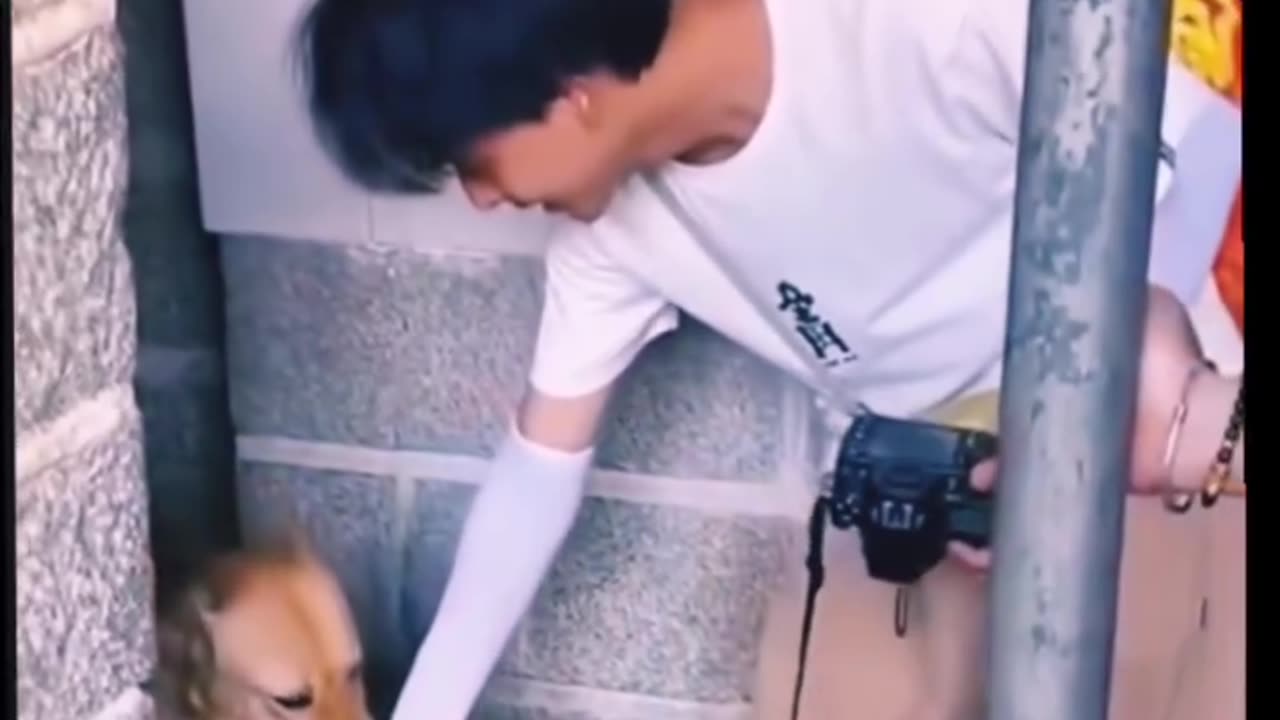 He reached out to pet a lonely shelter dog