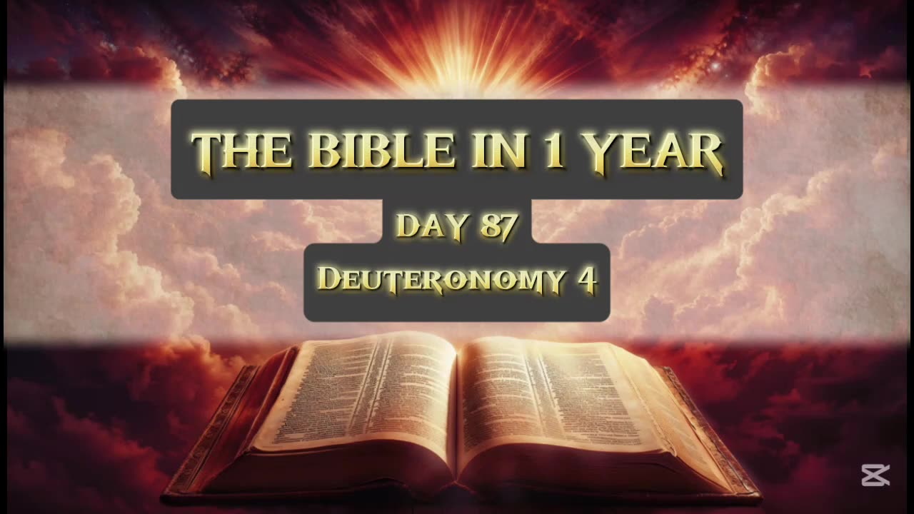 Day 87 of 365 (THE WHOLE BIBLE)