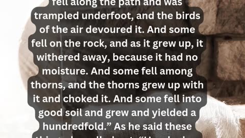 Journey of faith and spiritual growth Luke 8:4-8 Daily Bible Verse