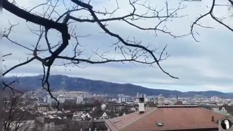 Zoological Museum Zurich Switzerland Tour