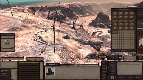 The art of Kenshi