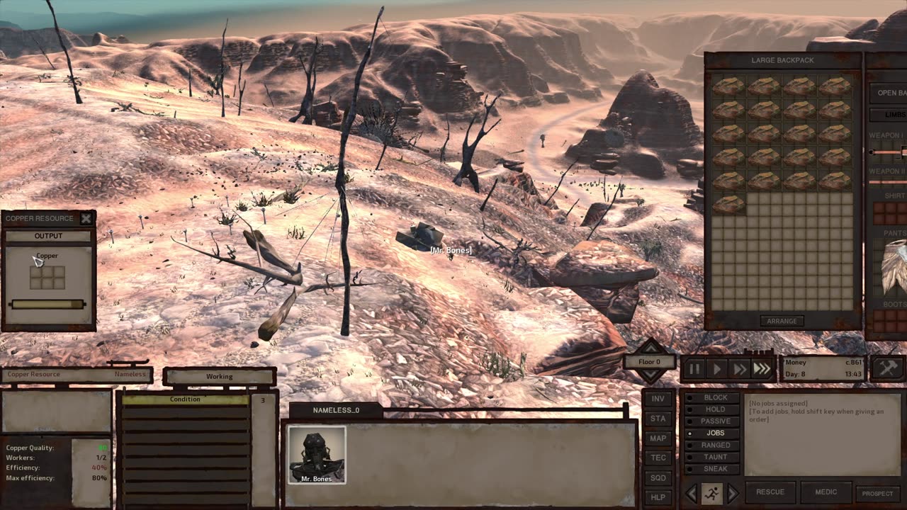 The art of Kenshi