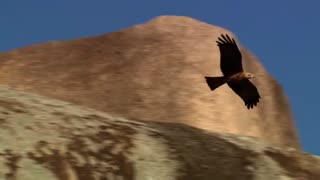 Rock Music Rock Art. Part 2 - Trust for African Rock Art