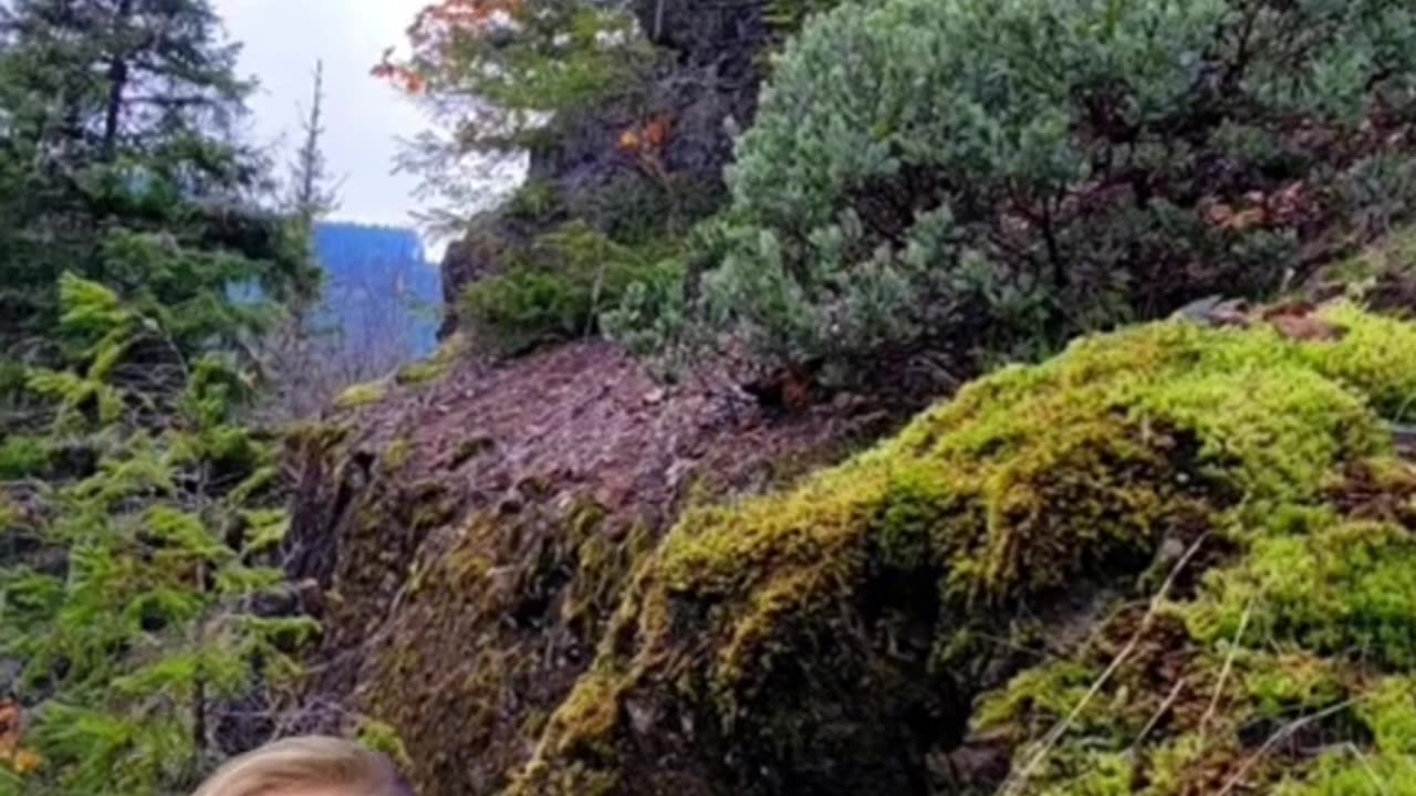 Man sees a giant in real life