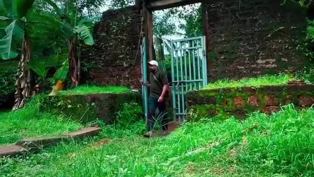 Nature video