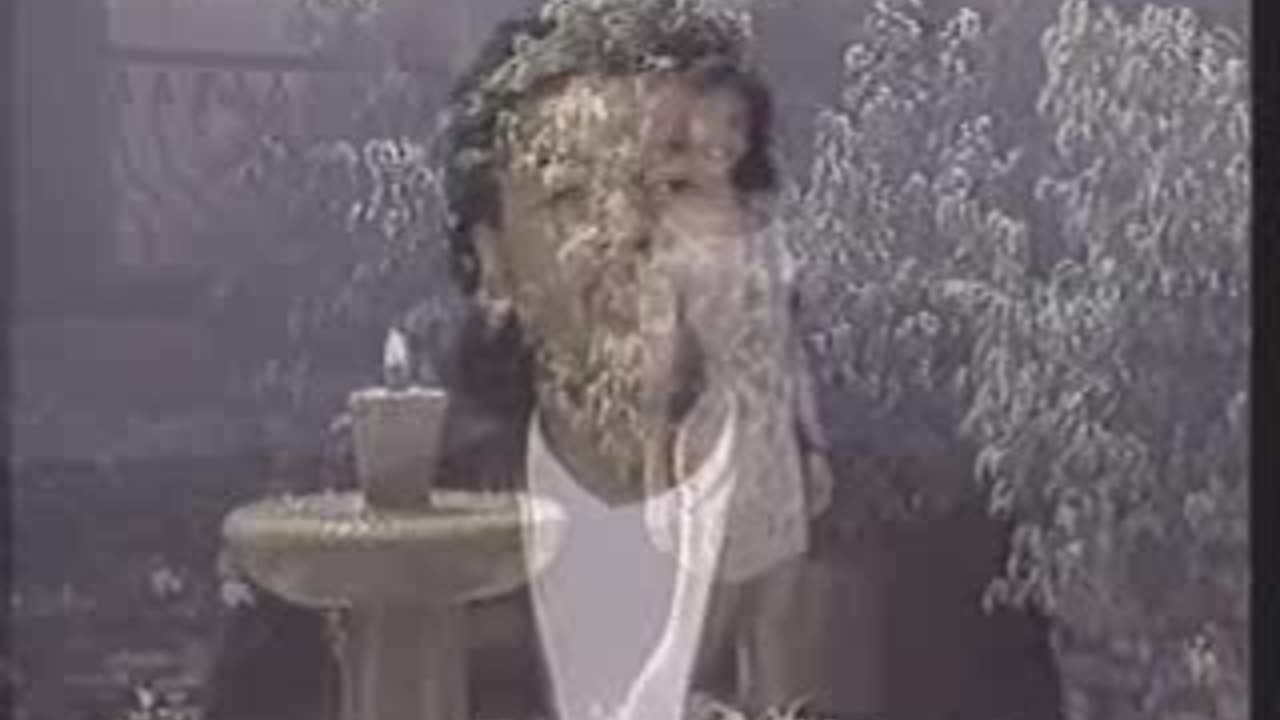 Guayacan-Vestido bonito