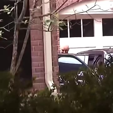 The Secret Service picks up Deep State Criminal James Comey at his house.
