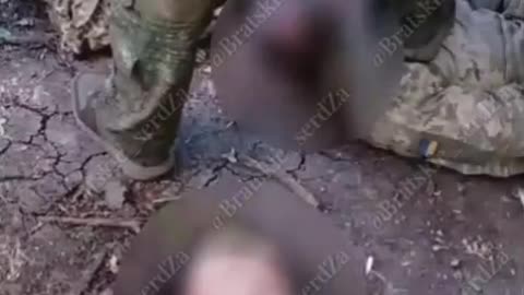 Ukraine war combat footage 8/15/25