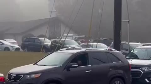 Proof that people are sheep! 🤣🤣🤣🤣🤣🤣🤣🤣🤣🤣🤣