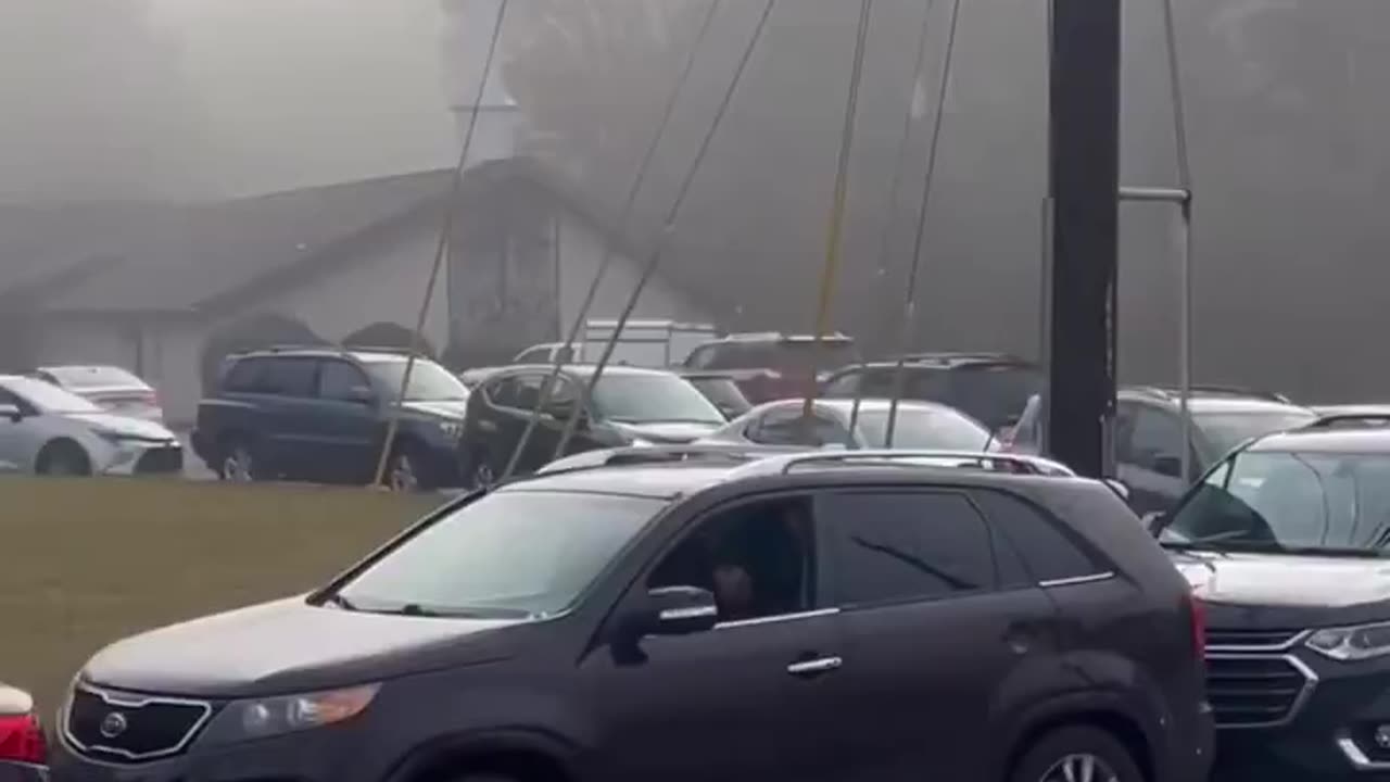 Proof that people are sheep! 🤣🤣🤣🤣🤣🤣🤣🤣🤣🤣🤣