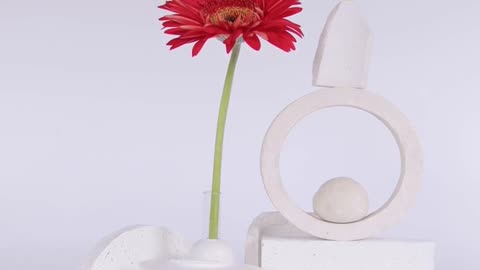 Daily Horoscope | Virgo 🌟