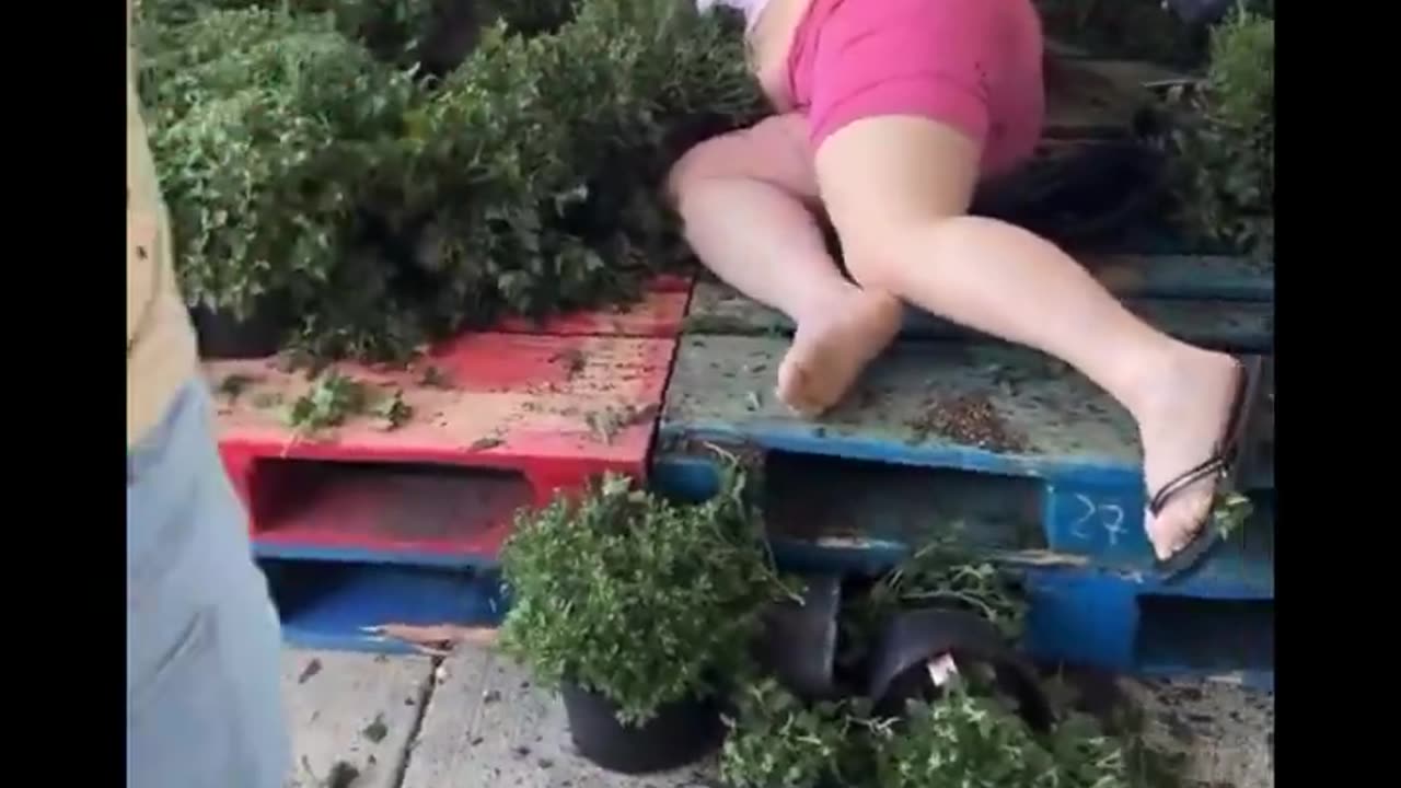 Blacks Attack White Woman