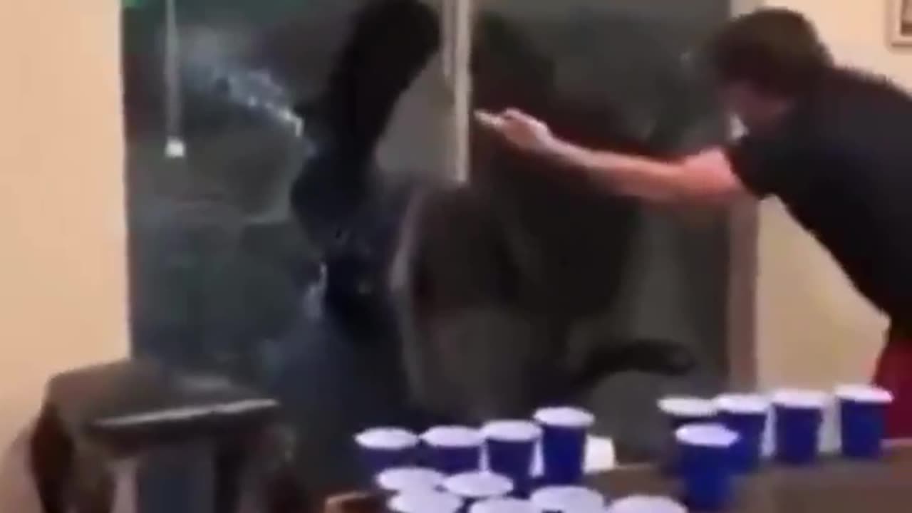 SUPPORT for BLM, only to have their windows busted..