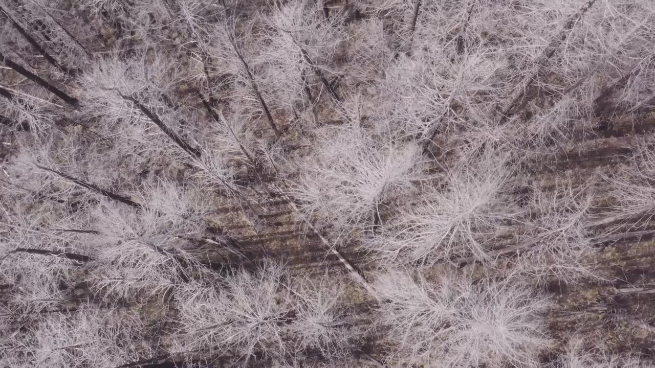 first flight search for Devon 11-9