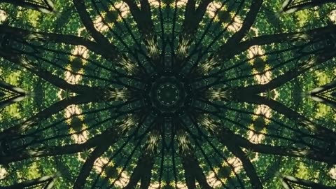 HAIKU - XOXO | NightDrive Wave Music