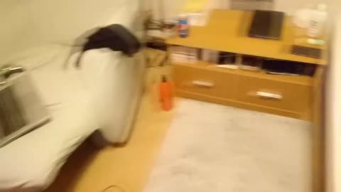 Martyros: [NSFW] Autistic subhuman shows off his disgusting room.