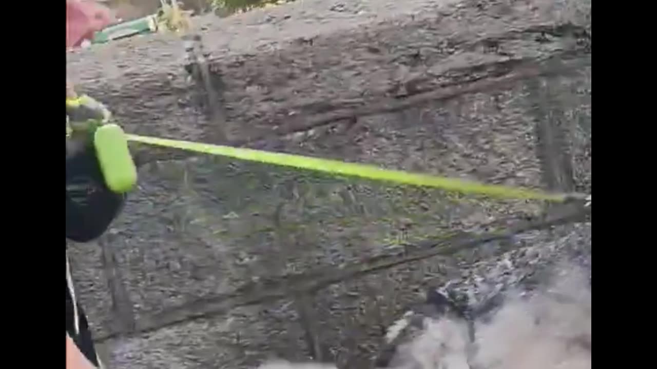 Dublin The shanty towns filled with illegal migrants are popping up across Dublin again.