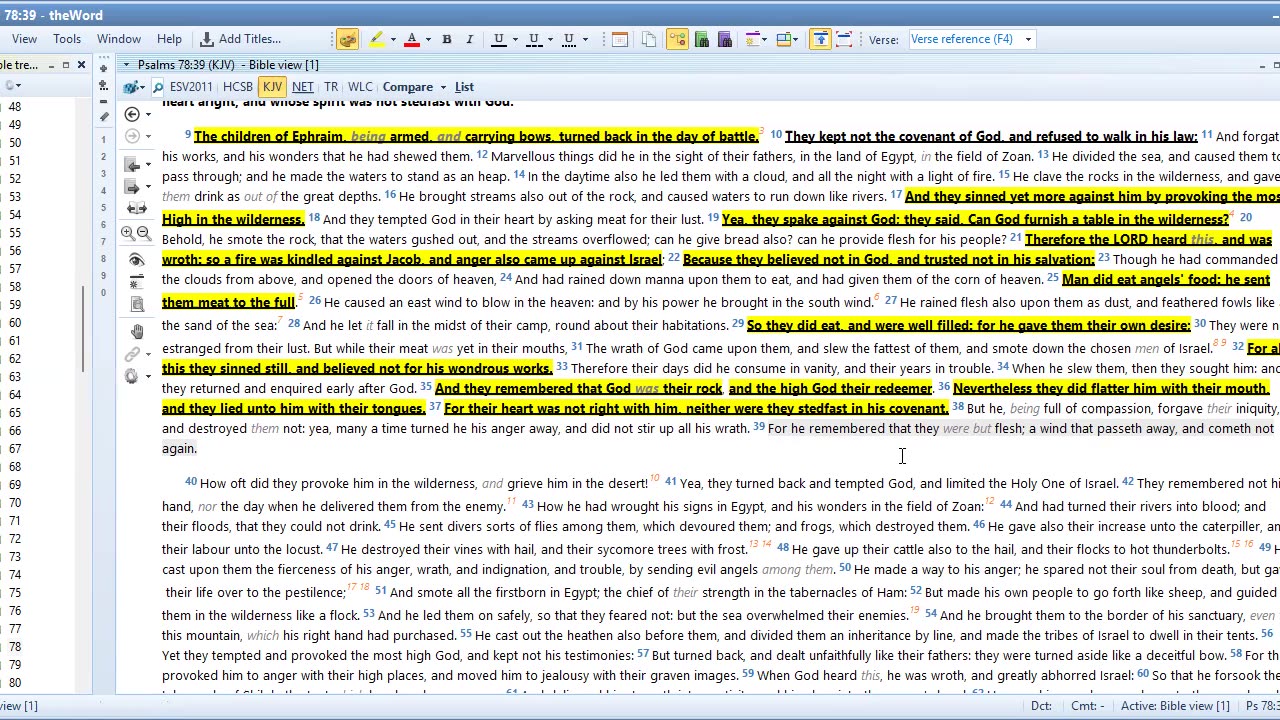 Bible Study Part 1 Psalms 78