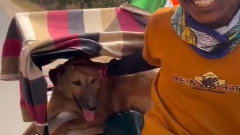 12,000 km bicycle journey with pet dog