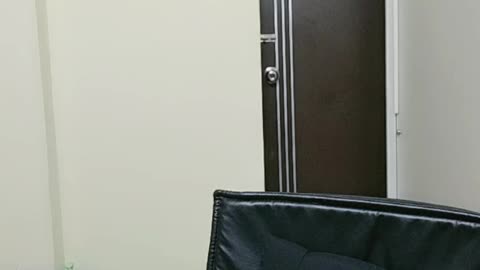 Tango Live Streaming Channel