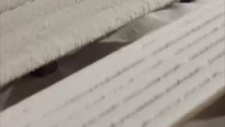 Deporte matutino frente a temperaturas extremas