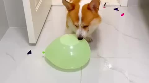One bite at a time.🤣