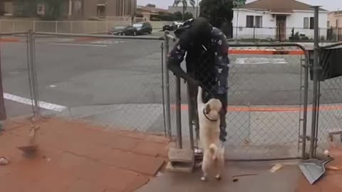Man steals dog right out of yard in daylight, caught on camera.