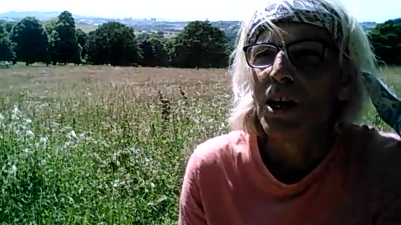 Polax Progress Week 4