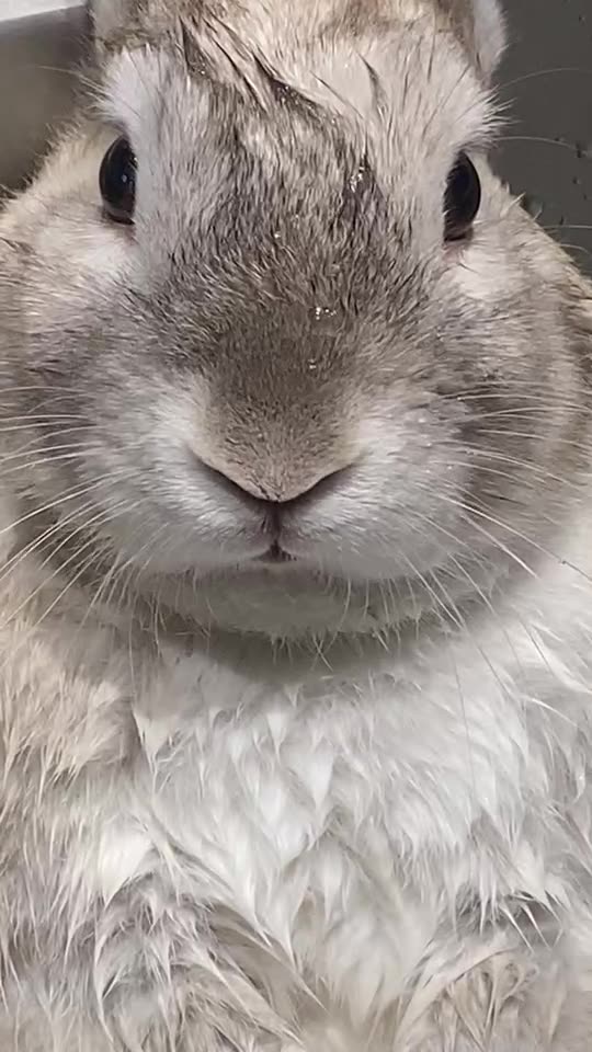 Have you seen Ava's bath?