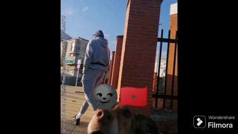 Callejeros Yonkis: Un jovenlandés se nos pone delante al volver de ruta