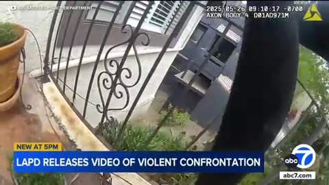 New bodycam video shows standoff with armed woman on roof of van