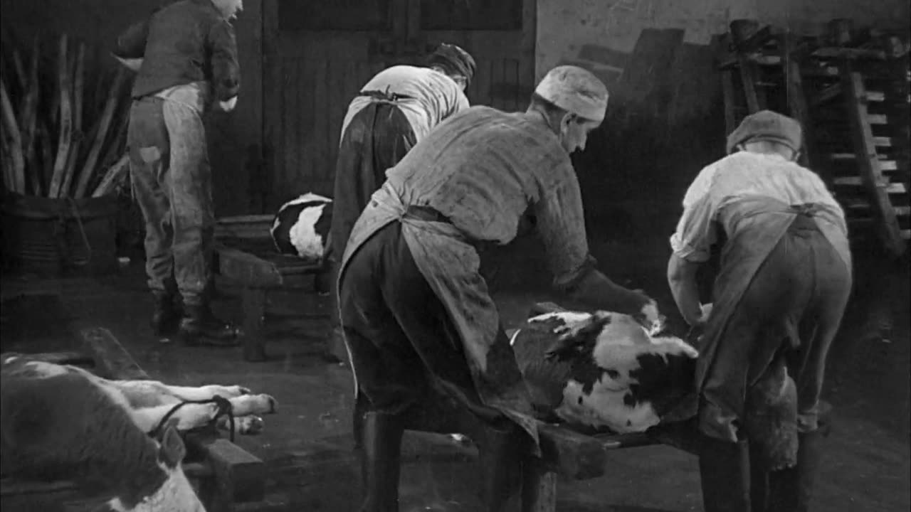 Blood Of The Beasts (1949)