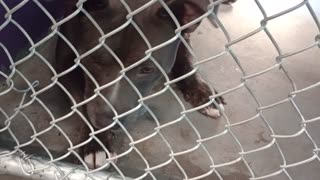 VID_20250829_144134923