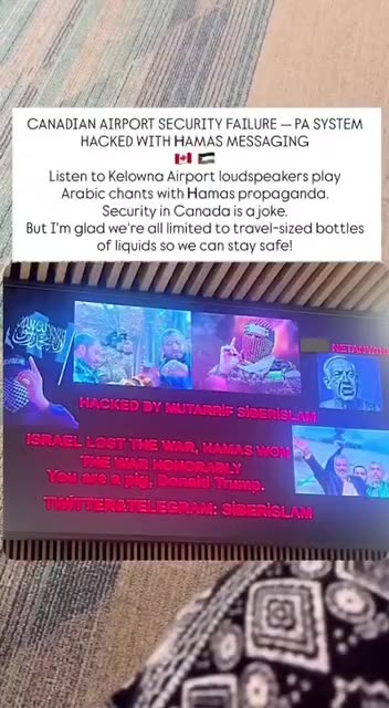 ‘You are a pig, Donald Trump’