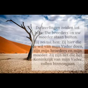 De leerlingen zeiden