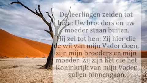 De leerlingen zeiden