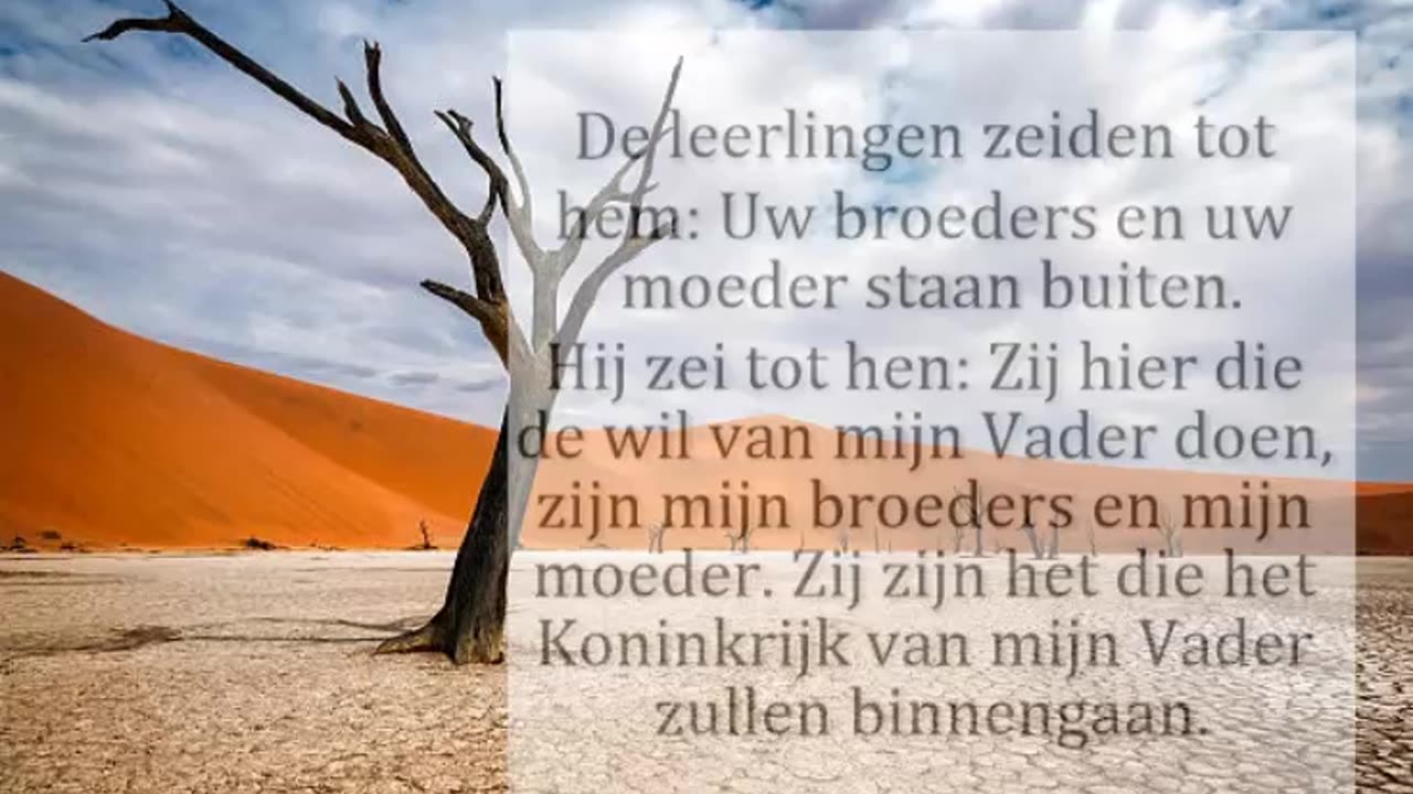 De leerlingen zeiden