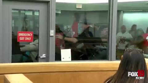 Chimp out in da courtroom