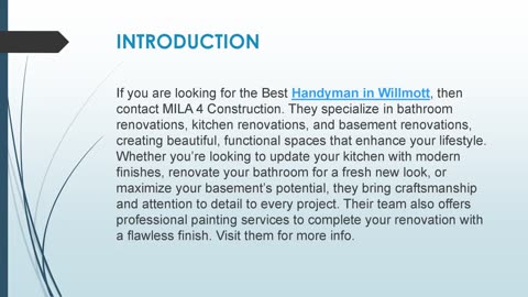 Best Handyman in Willmott