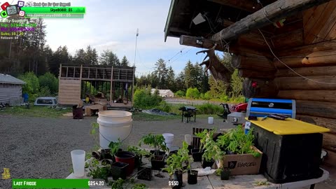 🟢LIVE: Freedom!! Alaska FARM > Food TRUCK Build Isolated Village ALASKA Farmstead !Isolated Village | !Real