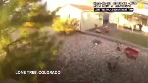 Body-cam video shows officer using child's bicycle to chase down suspect