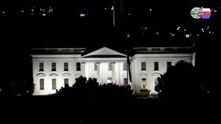 TWO CATS U.S. POLITICAL NEWS