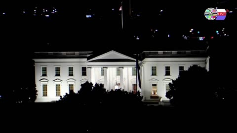 TWO CATS U.S. POLITICAL NEWS