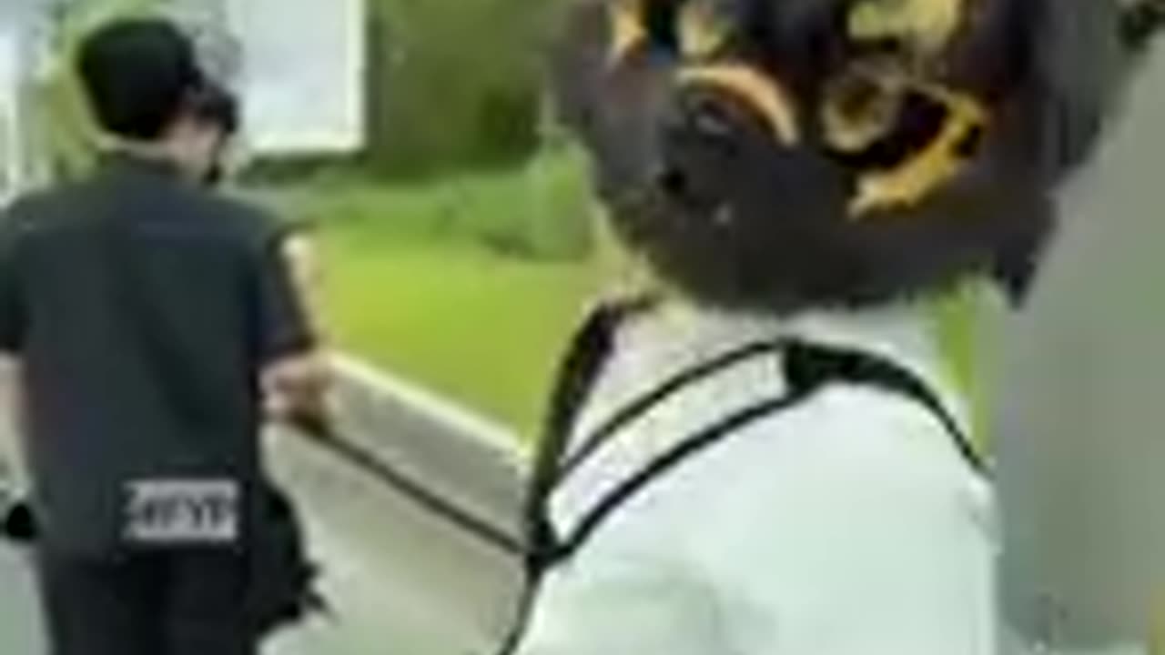 .