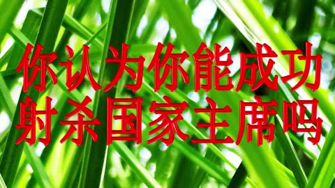 盘古乐队——《你认为你能成功射杀国家主席吗》