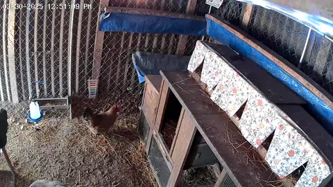 Intruder Alert! 😢